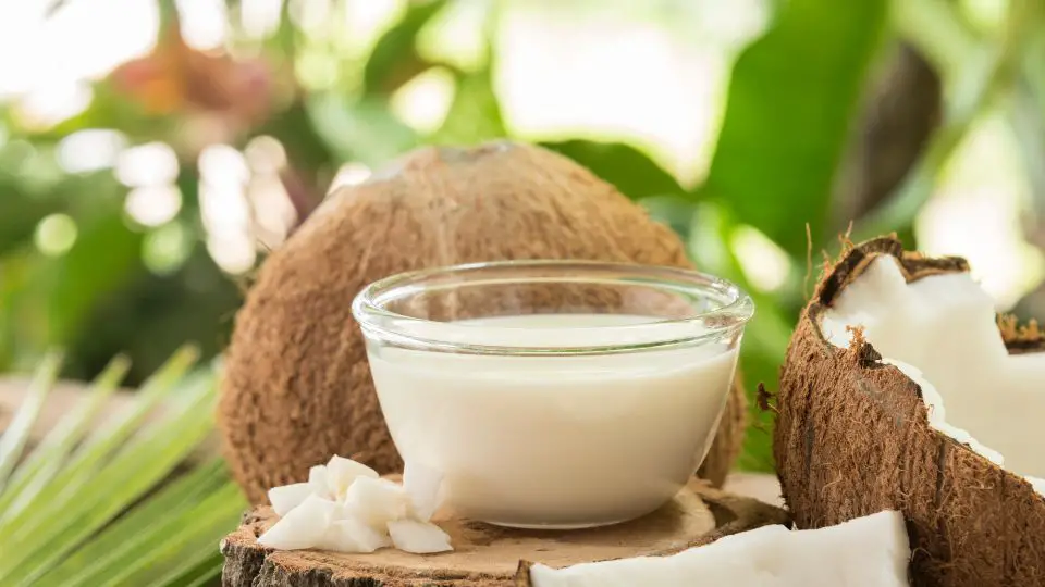 How to Tell If Canned Coconut Milk is Bad - Coconut Friends